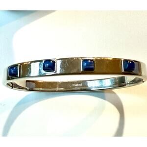 Stainless Steel Hinged Bangle Bracelet w/ 4 Blue Cat’s Eye Cabochon Stones